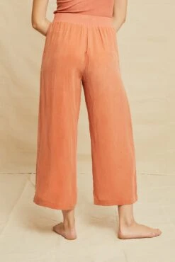 Salice Mixed Cupro Pants - Hibiscus -AGOLDE || CITIZENS OF HUMANITY Sales 0721 Salice Pant Mixed Media Hibiscus 0131 web b1c4ca5d bfb3 4b86 b20f 754692256bdf