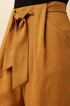 Eldora Tencel Wide Leg Pant - Camel -AGOLDE || CITIZENS OF HUMANITY Sales 9360 Eldora Tencel Camel 5